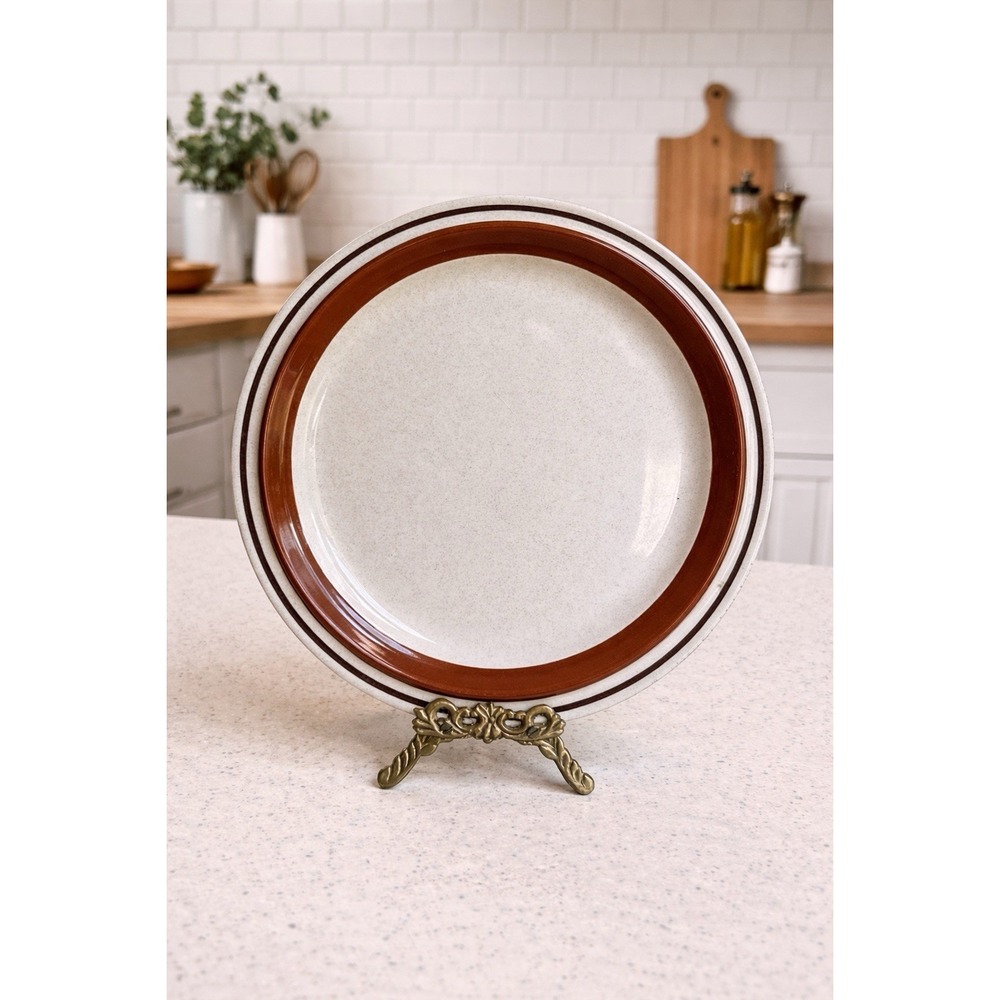 Contemp Chateau Stoneware Brown Rim 10.5" Dinner plates Japan Set of 5